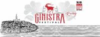 Prvi GinIstra Festival u Rovinju: Posjetitelje očekuje degustacija najboljih istarskih ginova po odličnoj cijeni