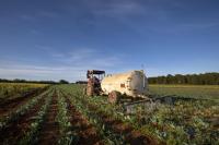 Digitalizacija poljoprivrede: Ključ za podizanje produktivnosti i pokretač budućeg razvoja