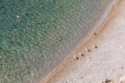 Produljen rok za online prijave za Godi&scaron;nje hrvatske turističke nagrade
