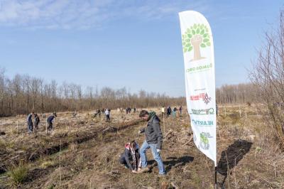 &Scaron;umoborci krenuli u novu sezonu po&scaron;umljavanja - u proteklih tjedan dana posadili čak 6,000 sadnica
