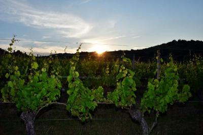 Velike kvarnerske fe&scaron;te u čast vina u Novom Vinodolskom i Vrbniku