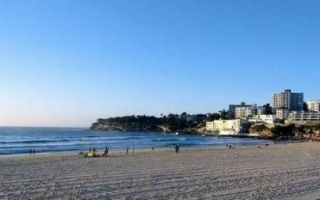 Najmanje 12 ubijenih u pucnjavi na australskoj plaži, Albanese: Napad na židovske Australce, napad je na svakog Australca