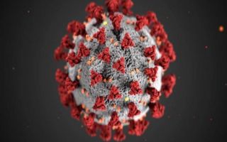 U Hrvatskoj 813 novozaraženih koronavirusom, preminulo 6 osoba